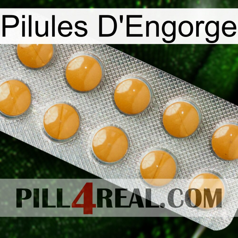 Engorge Pills levitra1